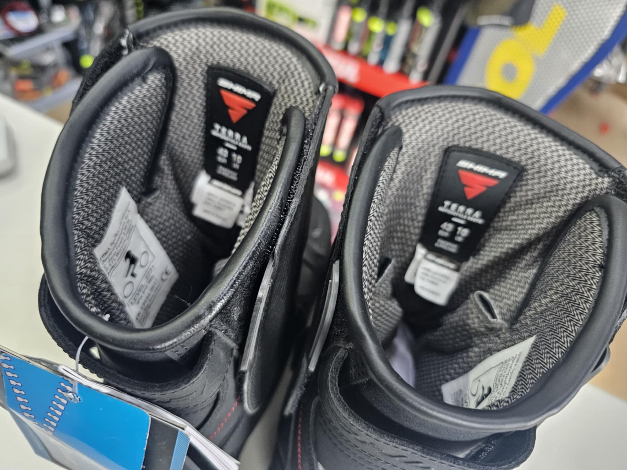 Turystyczne i miejskie buty męskie Shima Terra